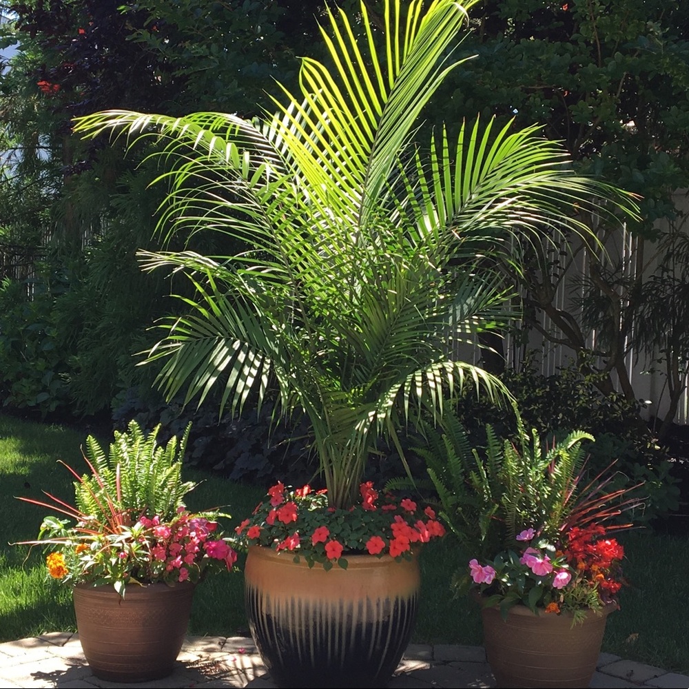 Meet your Posher, Felice